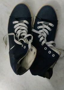 Shoe Roadster
