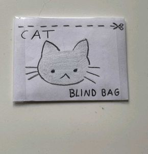 Cute Cat Blind Bag✨💕