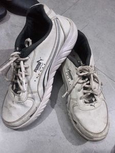 Puma Sports Shoes