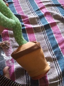 cactus Talking Doll