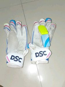 DS Cricket Kit