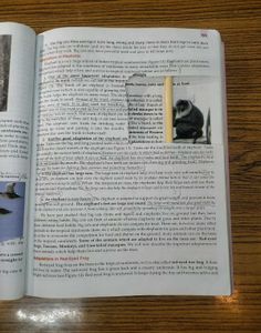 Lakhmir Singh's Science Class 7th Textbook