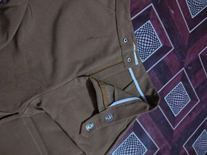 Stylish Brown Trousers