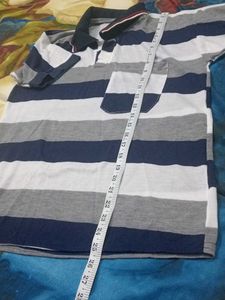 Striped Polo T-Shirt