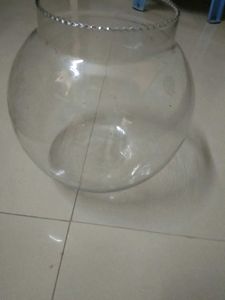 New Fish Bowl
