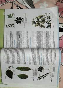 Class 11 Biology NCERT – 2025 Latest Edition
