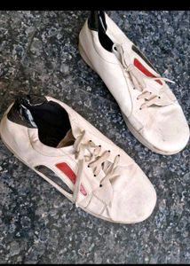 Sport Shoes
