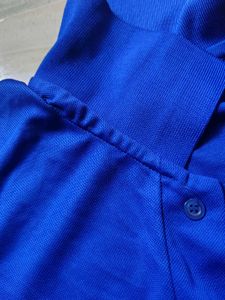 Blue Pinak Institute Polo T-Shirt | Unisex