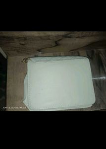 Charles &amp; Keith Bag