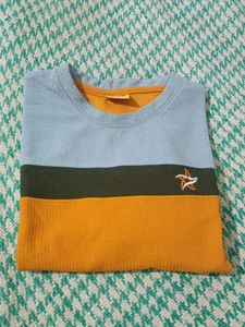 Mens T- Shirt