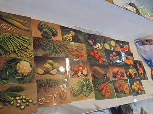 picture cards, toy cars, tennis ball, ceramic toys