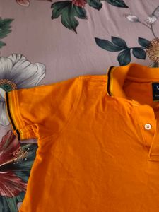 Allen Solly Orange Polo T-Shirt