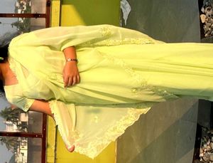 Elegant Light Green Embroidered Saree