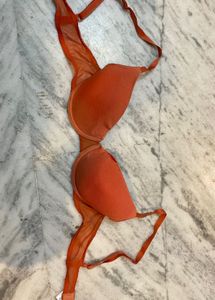 Sheer Mesh Trim Bra