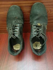 Warrior industrial safety shoes