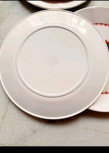 Set of 5 Melamine Dinner Plates