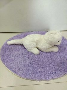 Cute White Plush Cat Toy