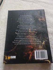 Scarred by Emily McIntire