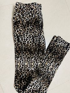 Velvet Leopard Print Pant