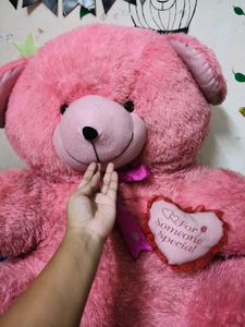Giant Pink Teddy Bear