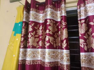 Elegant Maroon Curtains