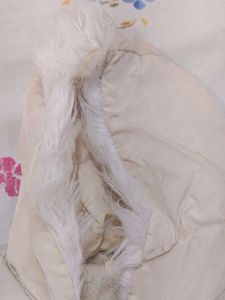 Cute Baby Girl's Winter jacket