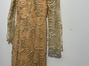 Elegant Ethnic Gown