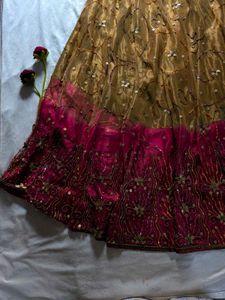 Embellished Lehenga Skirt
