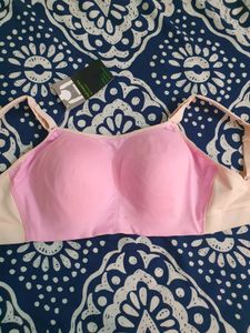 Zelocity High Impact Bra