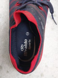 Sports Shoes