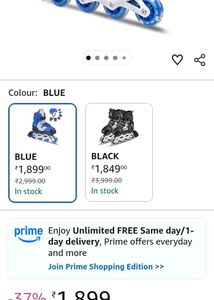Blue Roller Skates