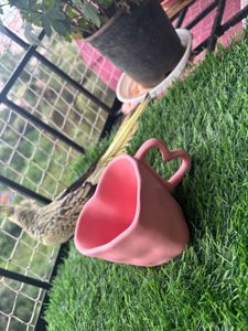 Pink Heart Mug
