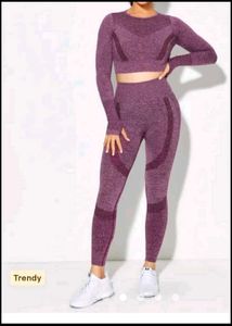 Athletic Seamless Crop Top & Leggings Set