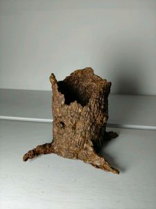 Organic Tree Bark Pen Holder 💚