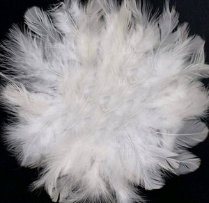 1 Packet of White Multi-Purpose Craft Feathers
