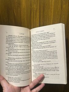 Your Name. Novel