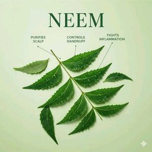 Handmade Neem Soaps Set