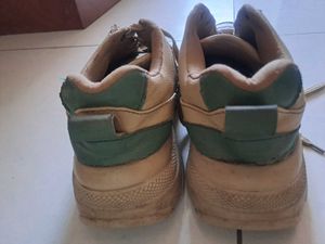 Men's Beige &amp; Teal Sneakers