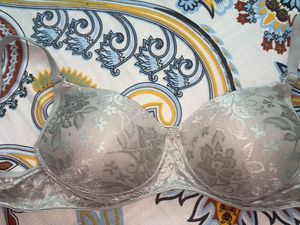 Elegant Lace Padded Bra