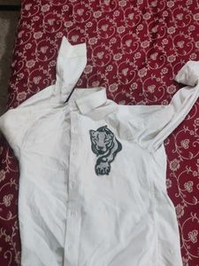Balmain Paris Jacket