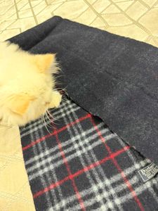 Burberry Classic Plaid Scarf