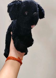 Cute Black Dog Plush Toy