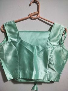 Stunning Pastel Green Embellished Saree