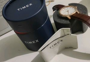 Timex Men Watch