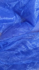 blue net