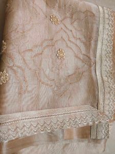 Elegant Peach Organza Dupatta