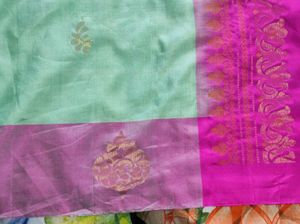 Light Green Saree with Pink Border