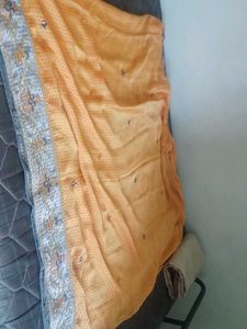 Beautiful Orange Saree with Embellished Border