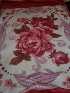 Blanket