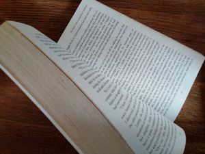 How to Win Friends &amp; Influence People Book